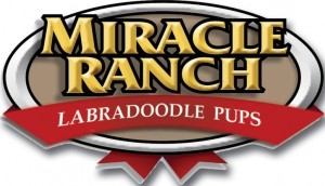 MIRACLE RANCH